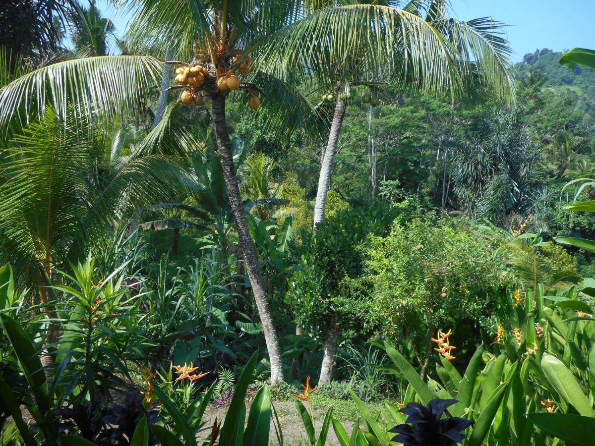 Cegeng Lestari Guesthouse Sidemen  Ngoại thất bức ảnh
