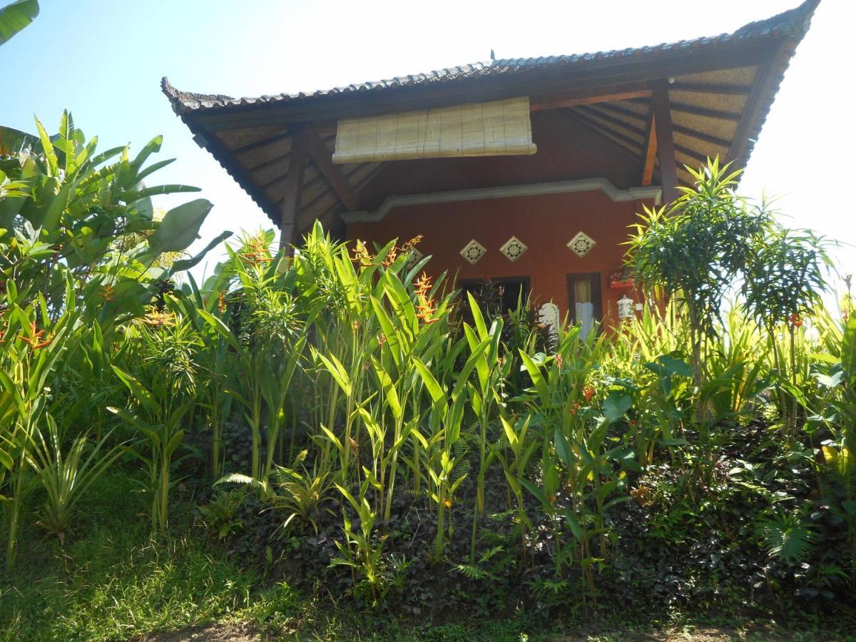 Cegeng Lestari Guesthouse Sidemen  Ngoại thất bức ảnh
