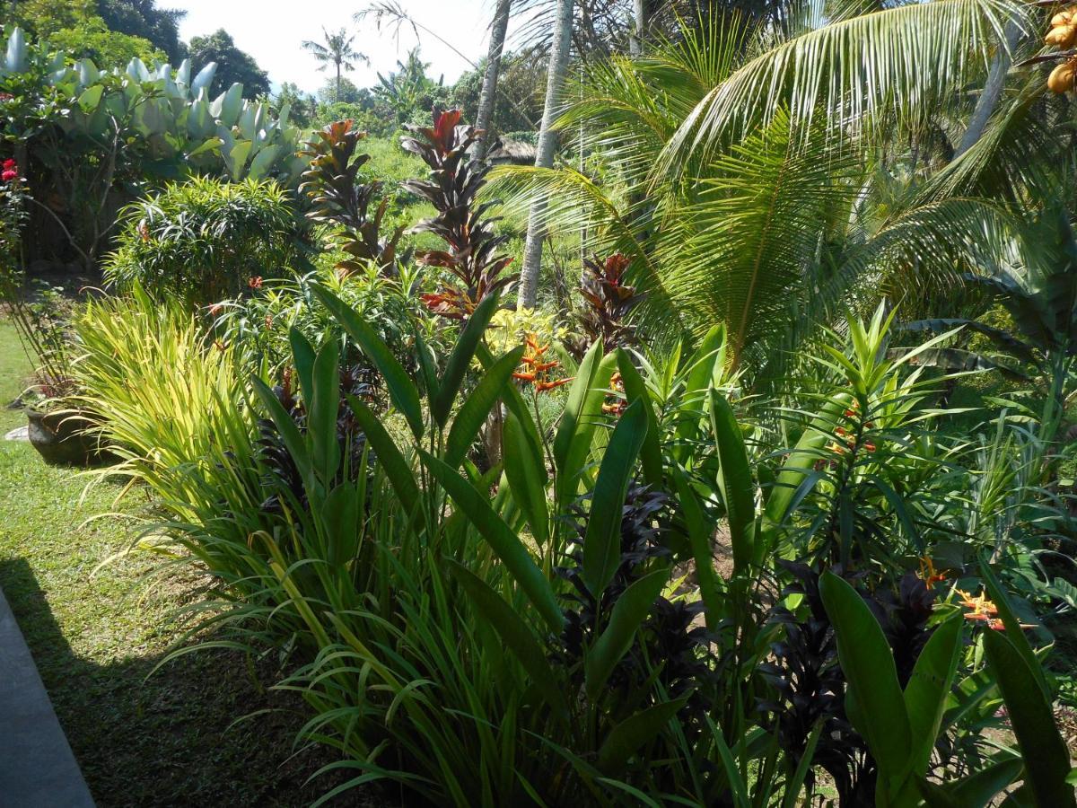 Cegeng Lestari Guesthouse Sidemen  Ngoại thất bức ảnh