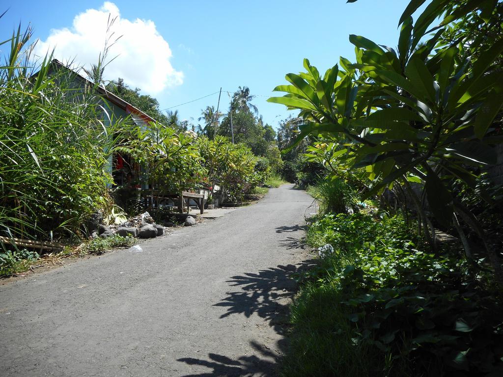 Cegeng Lestari Guesthouse Sidemen  Ngoại thất bức ảnh